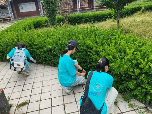 图片7